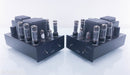 Audio Electronics (Cary) Six Pac Tube Mono Power Amplifier