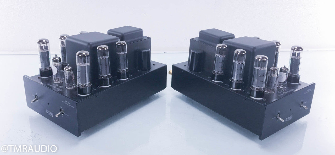 Audio Electronics (Cary) Six Pac Tube Mono Power Amplifier