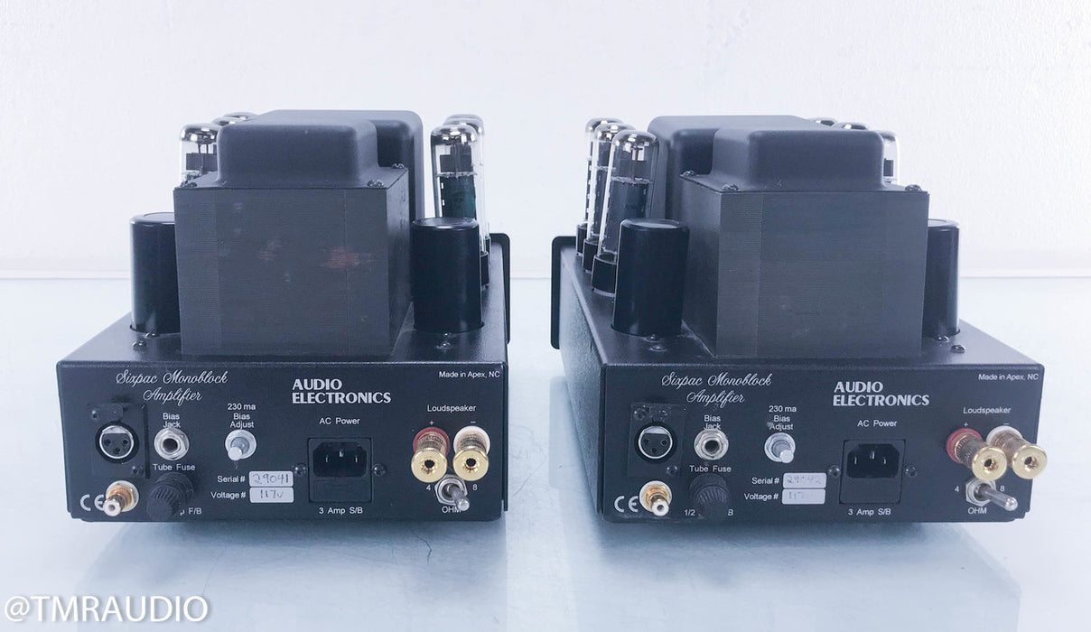 Audio Electronics (Cary) Six Pac Tube Mono Power Amplifier