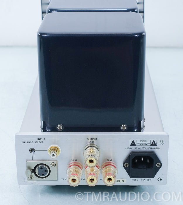 Triode TRV-M300SE Monoblock 300b Tube Amplifiers in Factory Boxes