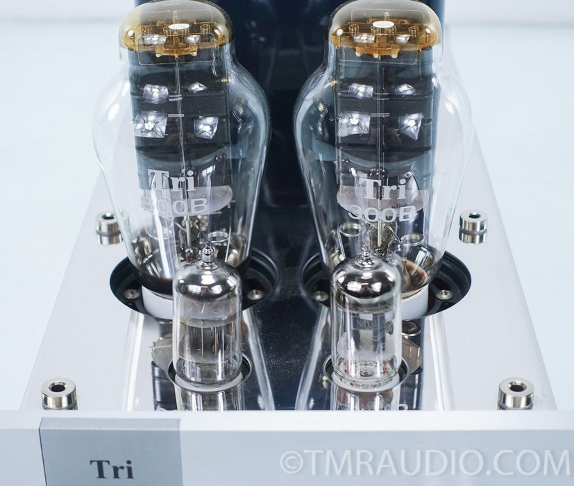 Triode TRV-M300SE Monoblock 300b Tube Amplifiers in Factory Boxes