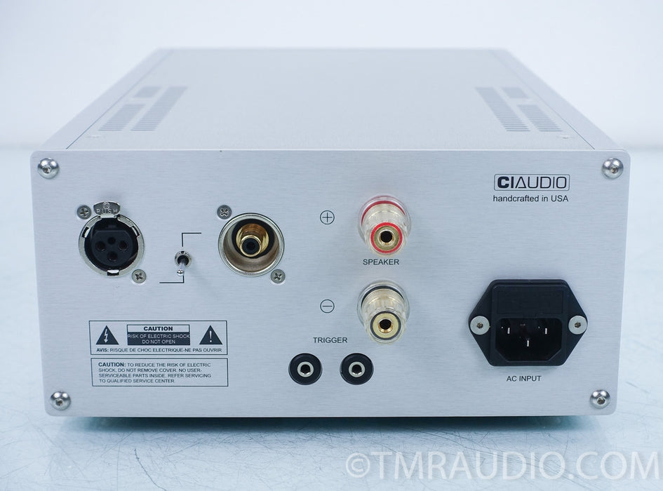 Channel Islands Audio D-200 Mk II Mono Power Amplifiers in Factory Boxes