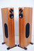 Audio Physics Virgo 3 (iii) Speakers in Factory Boxes