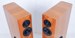 Audio Physics Virgo 3 (iii) Speakers in Factory Boxes