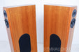Audio Physics Virgo 3 (iii) Speakers in Factory Boxes