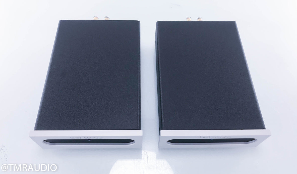 Bel Canto e.One REF1000 Mono Power Amplifiers