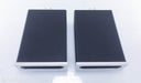 Bel Canto e.One REF1000 Mono Power Amplifiers