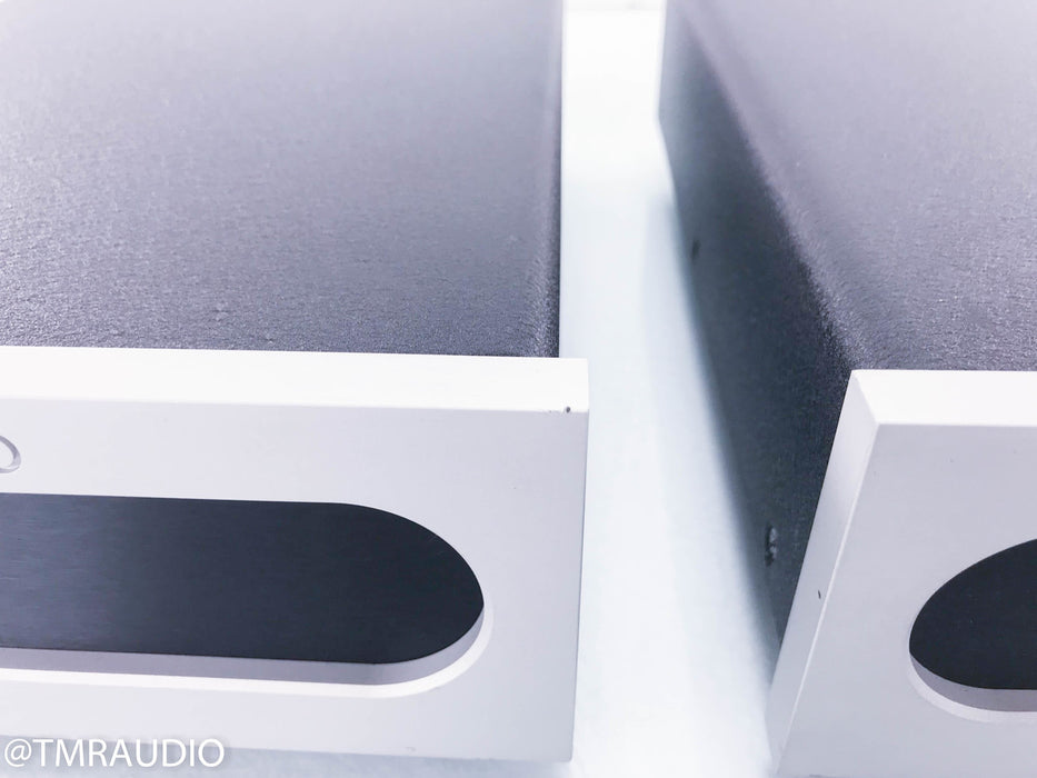Bel Canto e.One REF1000 Mono Power Amplifiers