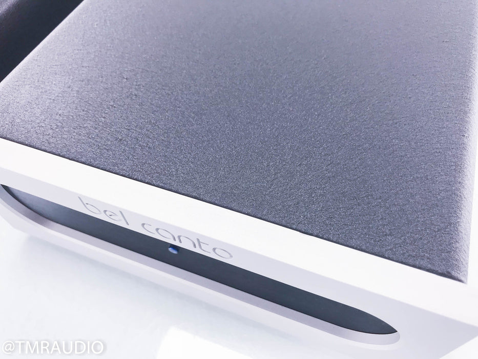 Bel Canto e.One REF1000 Mono Power Amplifiers