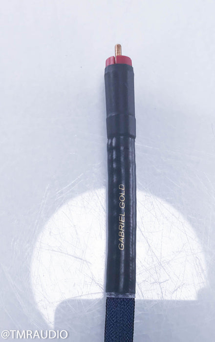 Gabriel Gold Rapture RCA Cables w/ Eichmann Copper Bullets