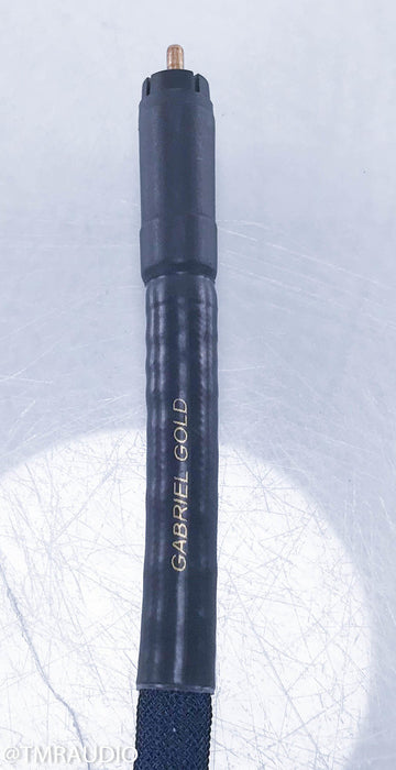 Gabriel Gold Rapture RCA Cables w/ Eichmann Copper Bullets