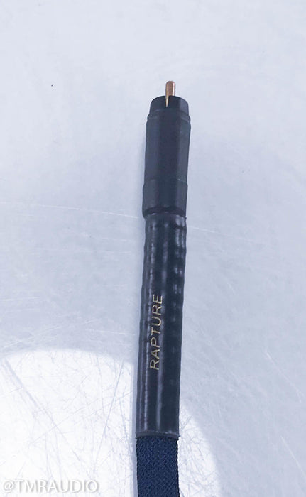 Gabriel Gold Rapture RCA Cables w/ Eichmann Copper Bullets