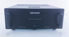 Audio Research DS450 Stereo Power Amplifier