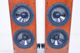 Vienna Acoustics Beethoven Baby Grand Floorstanding Speakers