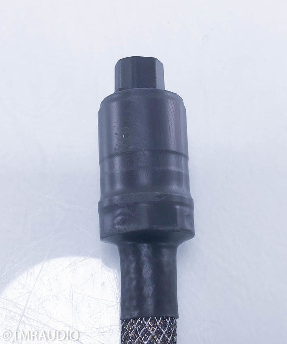 Acoustic Zen Gargantua II Power Cable