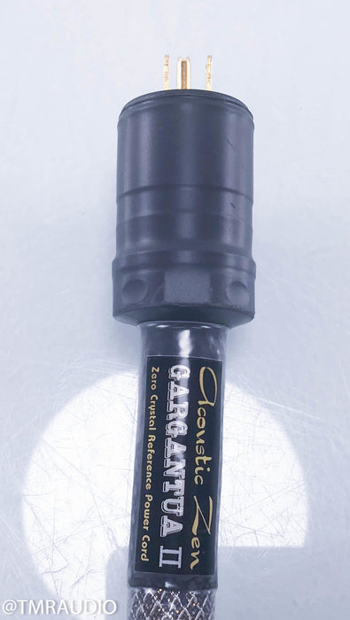 Acoustic Zen Gargantua II Power Cable