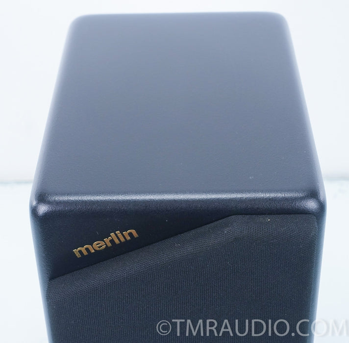 Merlin TSM Single Speaker / Center