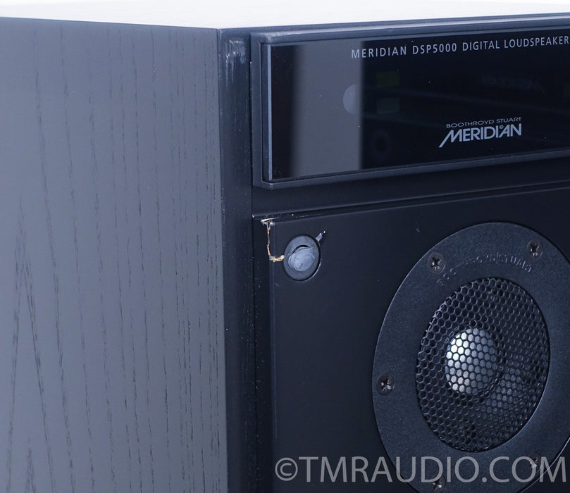 Meridian DSP5000 Active Speakers