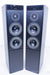 Meridian DSP5000 Active Speakers