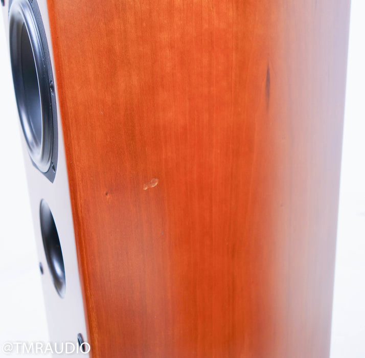 Era Design 10 Floorstanding Speakers