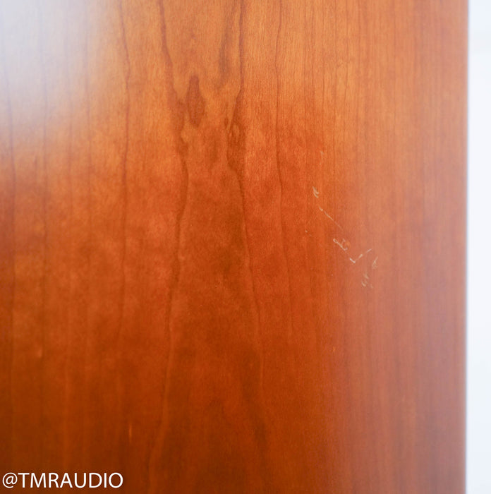 Era Design 10 Floorstanding Speakers