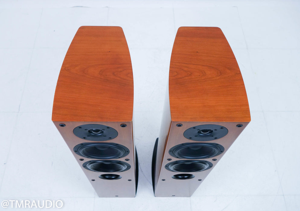 Era Design 10 Floorstanding Speakers