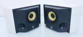 B&W DS6 Surrounds Speakers