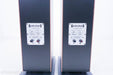 Audio Physic Classic 20 Floorstanding Speakers