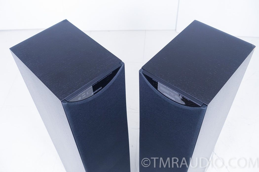 Meridian DSP5000 Active Speakers