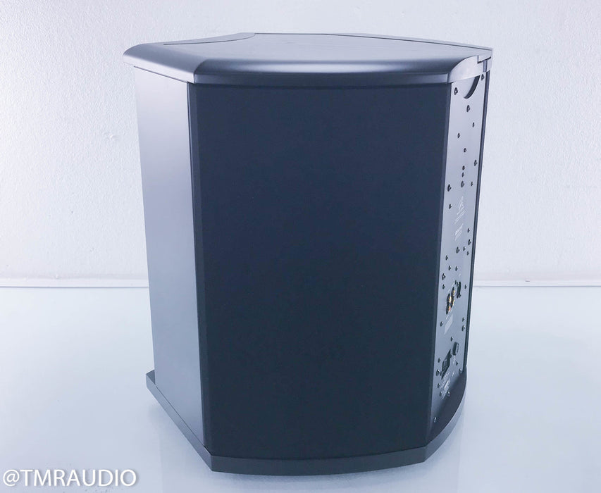 Martin Logan Descent Powered Subwoofer