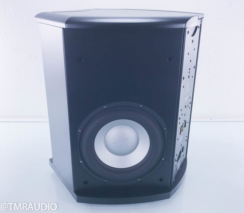 Martin Logan Descent Powered Subwoofer