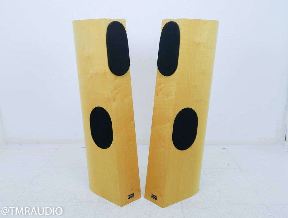 Audio Physic Tempo VI Floorstanding Speakers