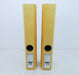 Audio Physic Tempo VI Floorstanding Speakers