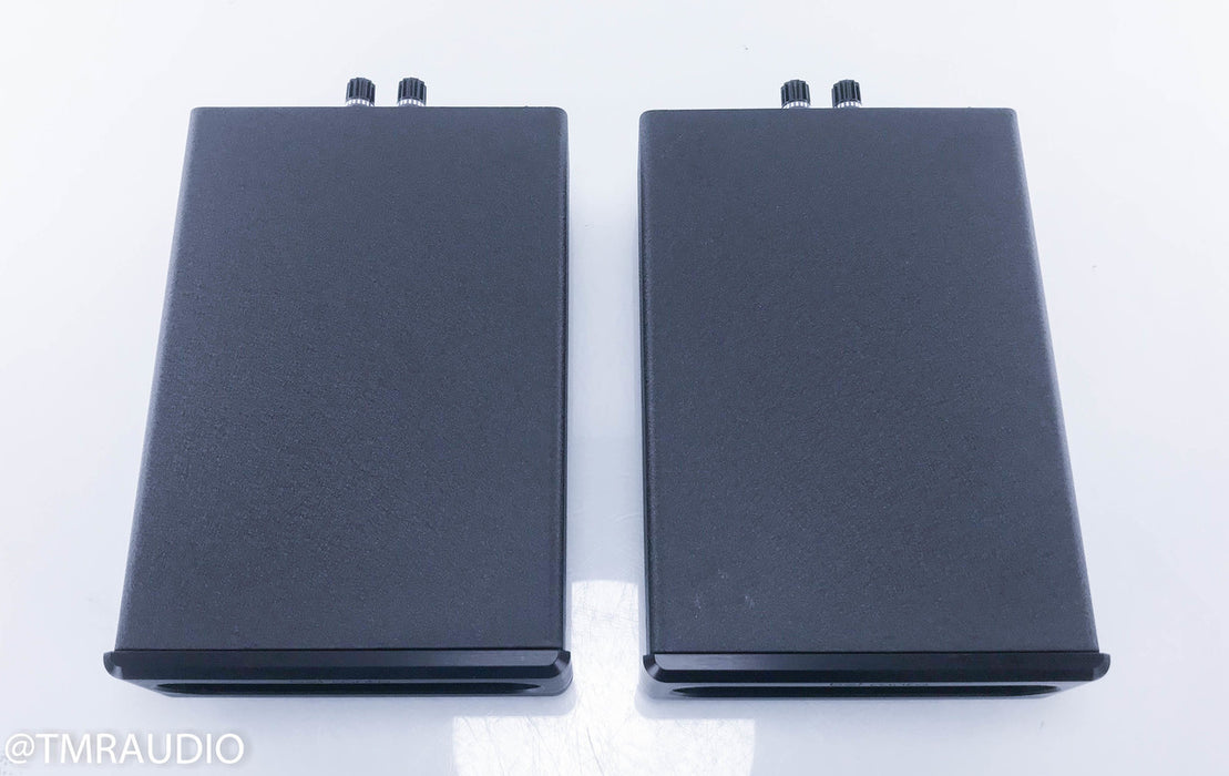 Bel Canto e.One Ref600M Mono Power Amplifier