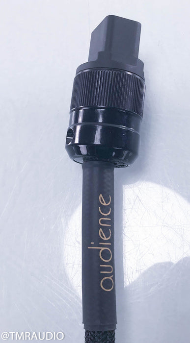 Audience powerChord e Power Cable