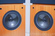 Von Schweikert VR 4.5 Speakers