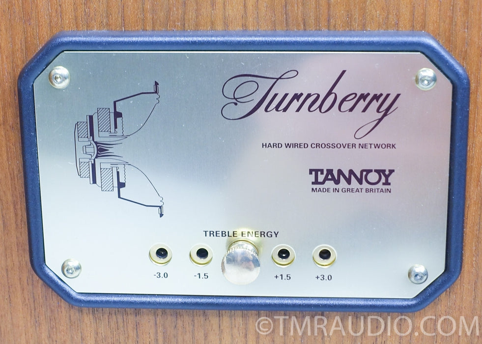 Tannoy Turnberry HE Speakers