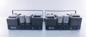 VTL De Luxe 300 Mono Tube Amplifiers