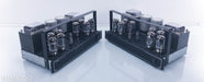 VTL De Luxe 300 Mono Tube Amplifiers