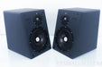 Ref 3a MM De Capo Be Speakers w/ Stands in Factory Boxers