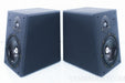 Ref 3a MM De Capo Be Speakers w/ Stands in Factory Boxers