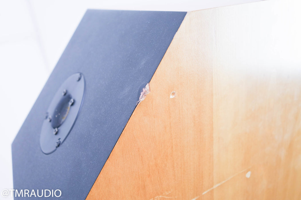 Genesis Prototype Floorstanding Speakers