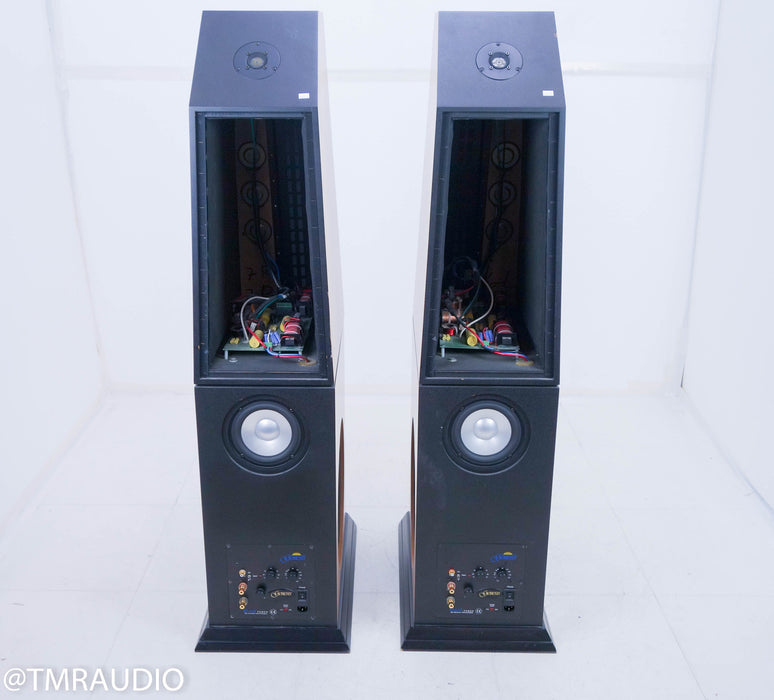 Genesis Prototype Floorstanding Speakers
