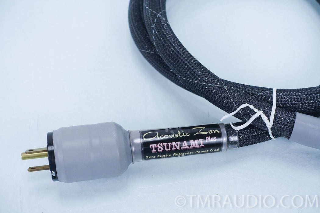Acoustic Zen Tsunami Plus 5' 15amp Power Cable / Cord