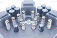 Manley Stingray II Integrated Amplifier (3 mos. old)