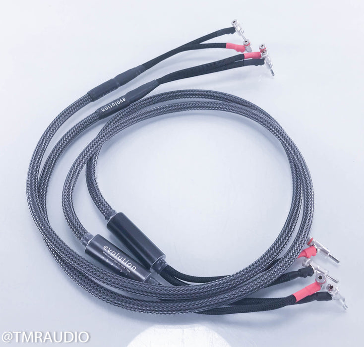 Voodoo Cable Evolution Speaker Cables
