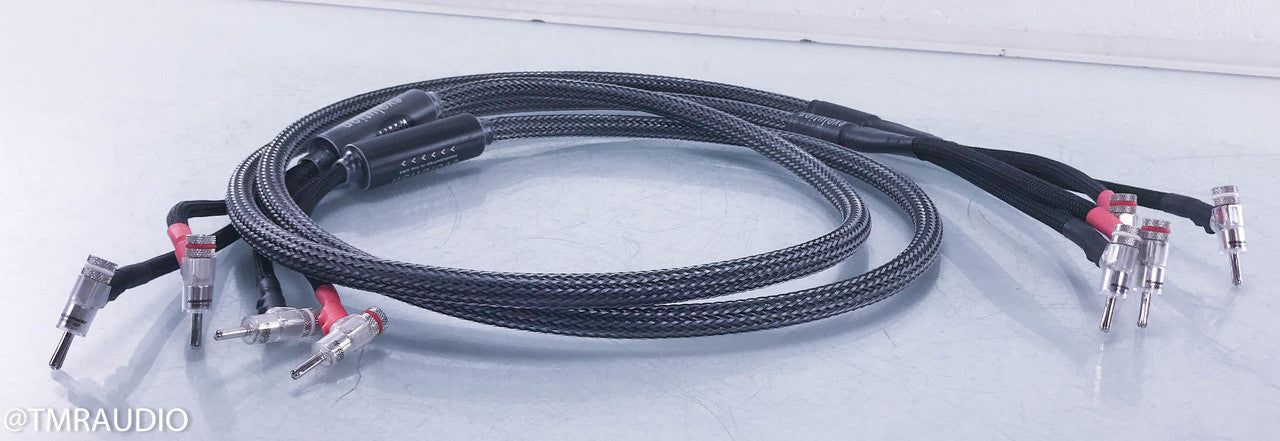 Voodoo Cable Evolution Speaker Cables