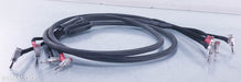 Voodoo Cable Evolution Speaker Cables