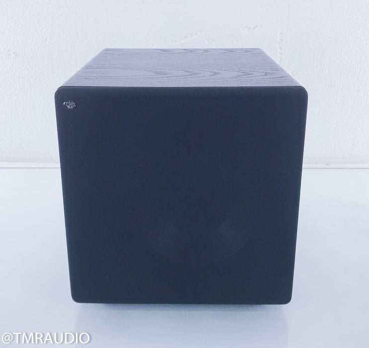 RBH TS-10AP Powered Subwoofer