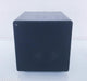 RBH TS-10AP Powered Subwoofer